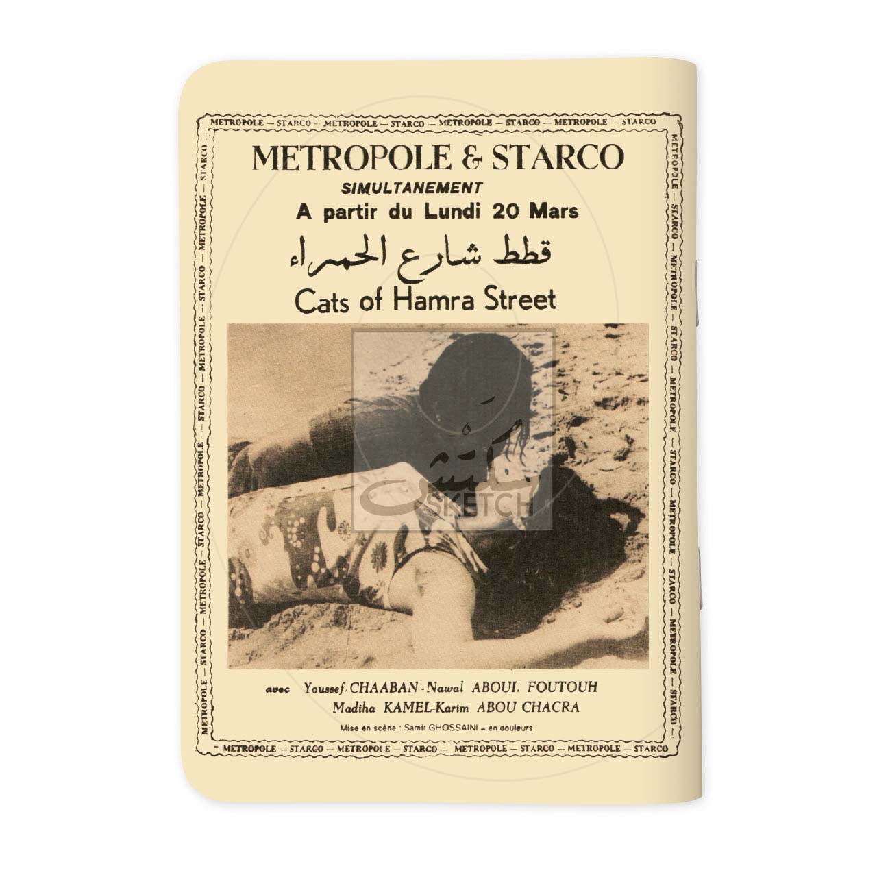 CATS OF HAMRA - قطط شارع الحمرا