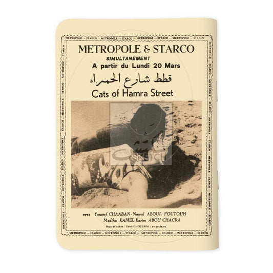 CATS OF HAMRA - قطط شارع الحمرا